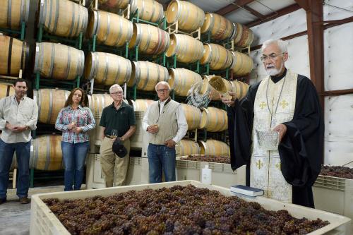 Father John Finley blesses the grapes at the Lucas & Lewellen Vineyards first crush Father John Finley blesses the first fruits of harvest at the Lucas & Lewellen Vineyards first crush
