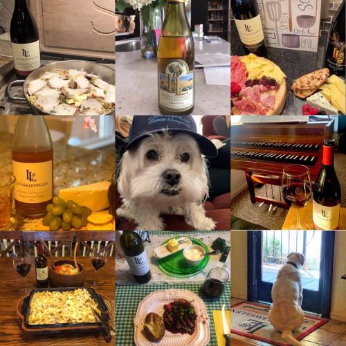 A collage of images of dogs and wine shared by Lucas & Lewellen wine fans A collage of images of dogs and wine shared by Lucas & Lewellen wine fans