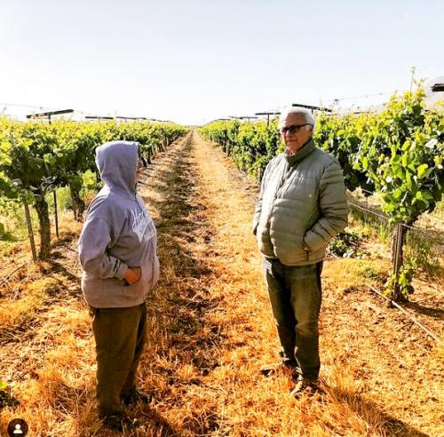 Louis Lucas & Lane Tanner standing in Julia's Vineyard - photo by Clayton Fox