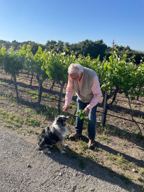 Louis Lucas with his dog Novi at Valley View Vineyard Louis Lucas with his dog Novi at Valley View Vineyard