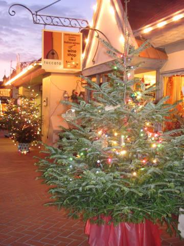 The Toccata Tasting Room storefront at the holidays with a Christmas Tree The Toccata Tasting Room storefront at the holidays with a Christmas Tree