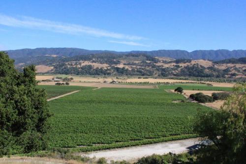 The Valley View Vineyard outlook The Valley View Vineyard outlook