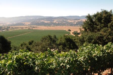 Valley View Vineyard Valley View Vineyard
