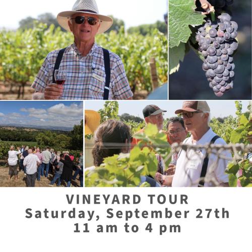 Collage of photos of guests in a vineyard drinking wine with Louis Lucas - Vineyard Tour on September 27th