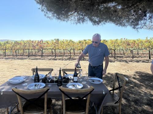 Picnic at Goodchild Vineyard HIgh 9 with Andrew Moore and wine