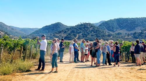 Guests in the vineyard drinking wine with mountains