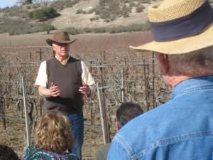 Vine pruning with the Dirtman, 2014