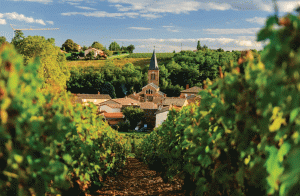 beaujolais-photo-by-amawaterways