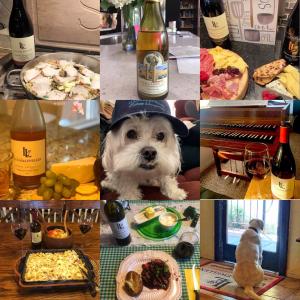 A collage of images of dogs and wine shared by Lucas & Lewellen wine fans