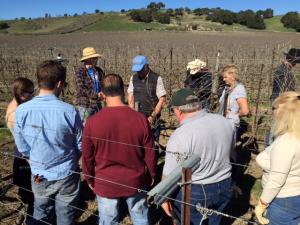 Louis Lucas in the vineyard