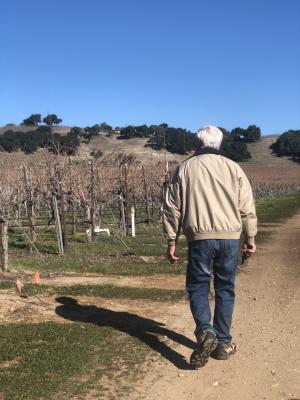 Louis Lucas walking in the vineyard