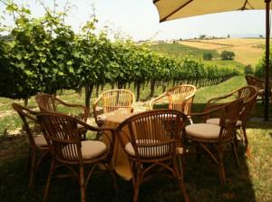 The garden at our Tuscany hotel