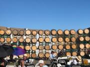 Lucas & Lewellen Harvest Party image of wall of barrels